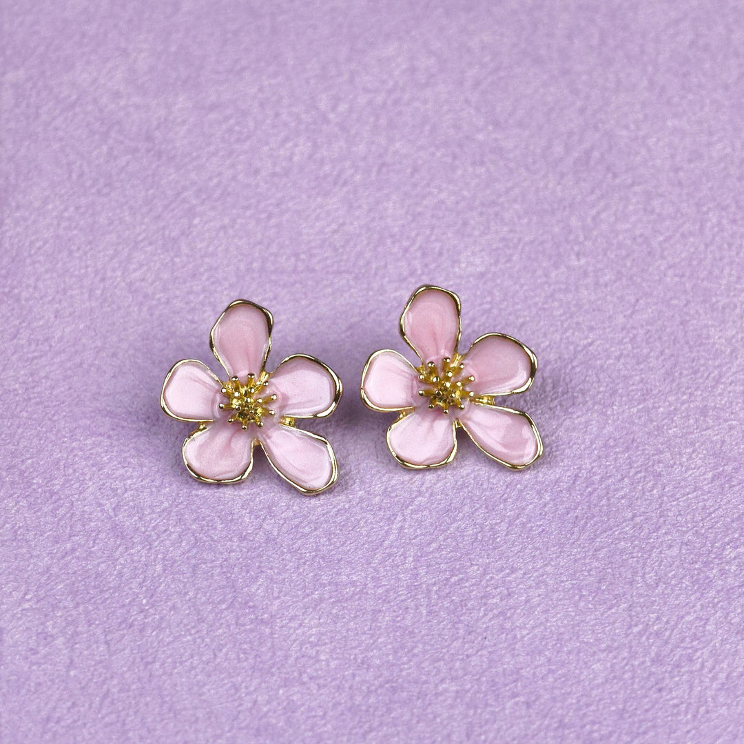 12 Earrings in Folding Box